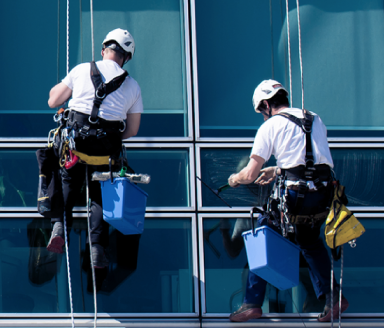 Seguros para empresas y profesionales