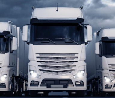 Seguros para empresas y profesionales