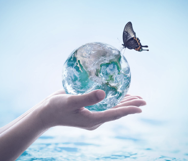 Seguros para empresas y profesionales