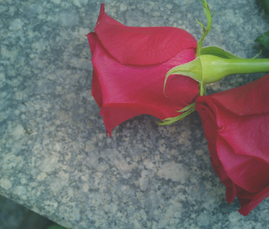 Seguros para particulares